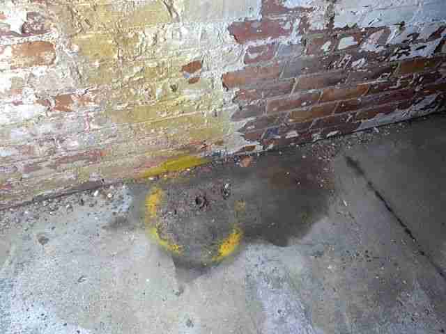 30494015_1584562578941 (1).jpg